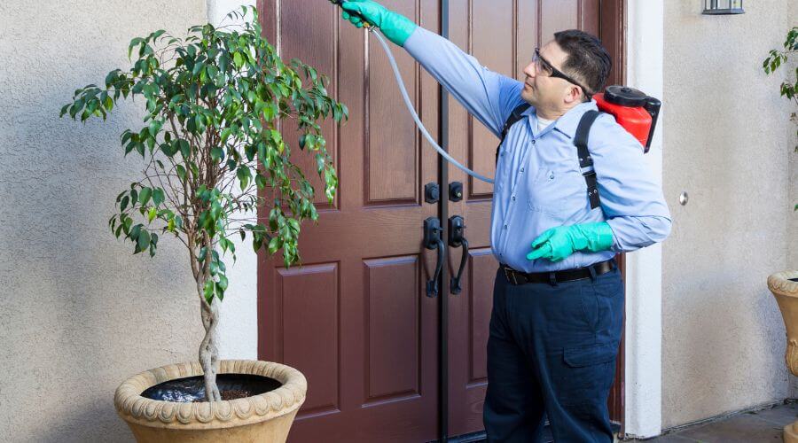 Why choose Pest Control Pros for rodent control in Riverside